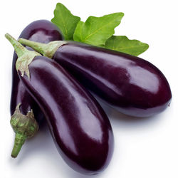 eggplant-06-900x900