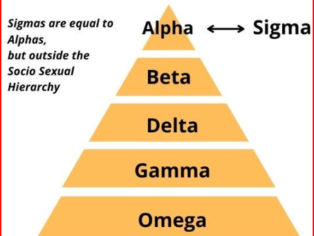 Explore the Alpha, Beta, Omega, Delta, Gamma, and Sigma Within You by Unveiling the Inner Persona...