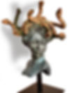 Meduse_fond_blanc_550