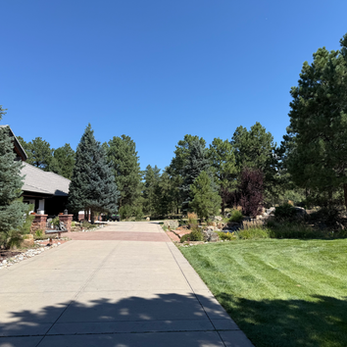 Fire mitigation in Parker, CO