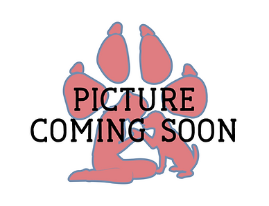 image0 (14).png