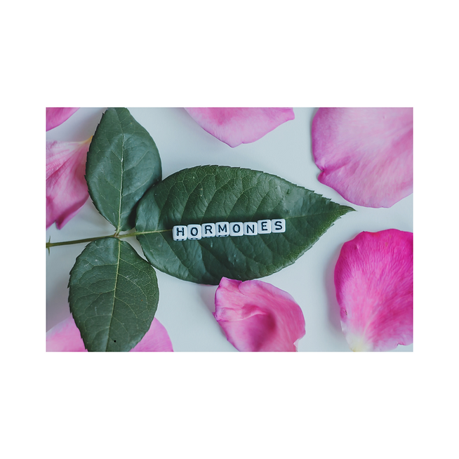 Instagram Post Design (2).png