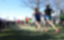 Competencia femenina