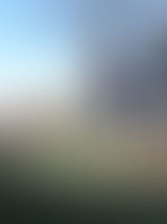 נפצעה באימון למרתון של קבוצת ריצה שהקים המעסיק, והוכרה כנפגעת עבודה