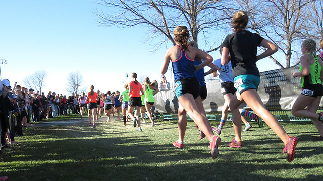 Markham Unionville Terry Fox Run | Project 5K