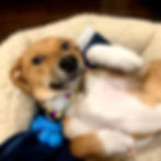 Image from iOS (2)_edited.jpg