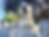 IMG_0158_edited.png