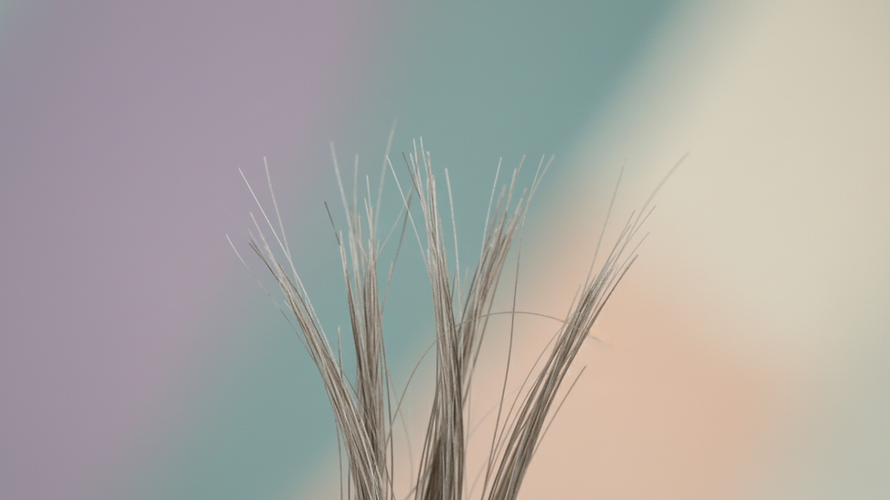 Close-up view of hair strands with split ends