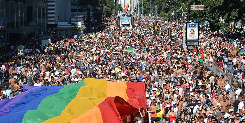 São_Paulo_LGBT_Pride_Parade_2014_(14108541924)_edited.jpg