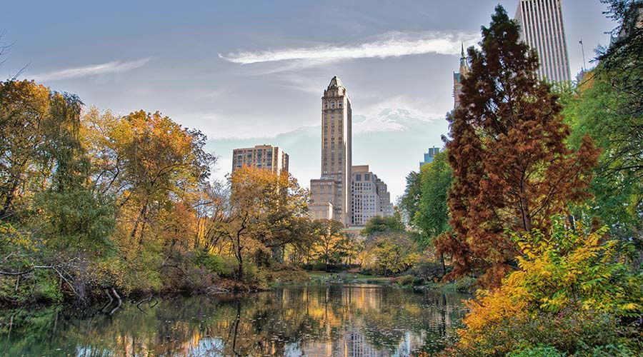 Central-Park-NY_WebExtent0106.jpg
