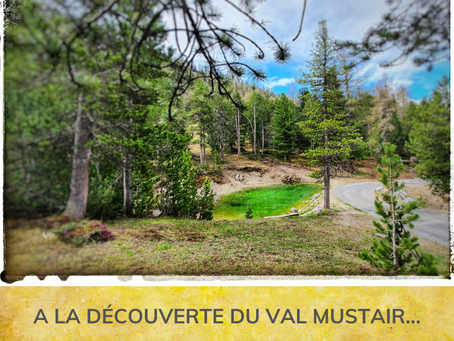 "LA DROITE EST LE CHEMIN LE PLUS ENNUYEUX ENTRE DEUX POINTS"... Michel Layaz