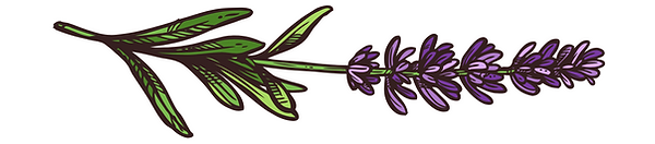 Untitled design.png