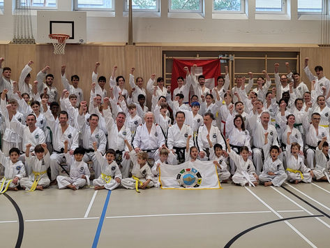Taekwon-Do Spreitenbach veranstaltet Seminar und Prüfungen mit internationalen Meistern