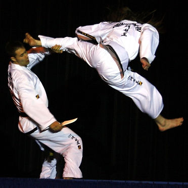 Jumping Spinning Reverse Turning Kick in Martial Arts