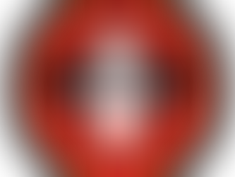 Sonntagsspezial: Taekwon-Do auf höchstem Niveau!