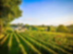 St Emilion