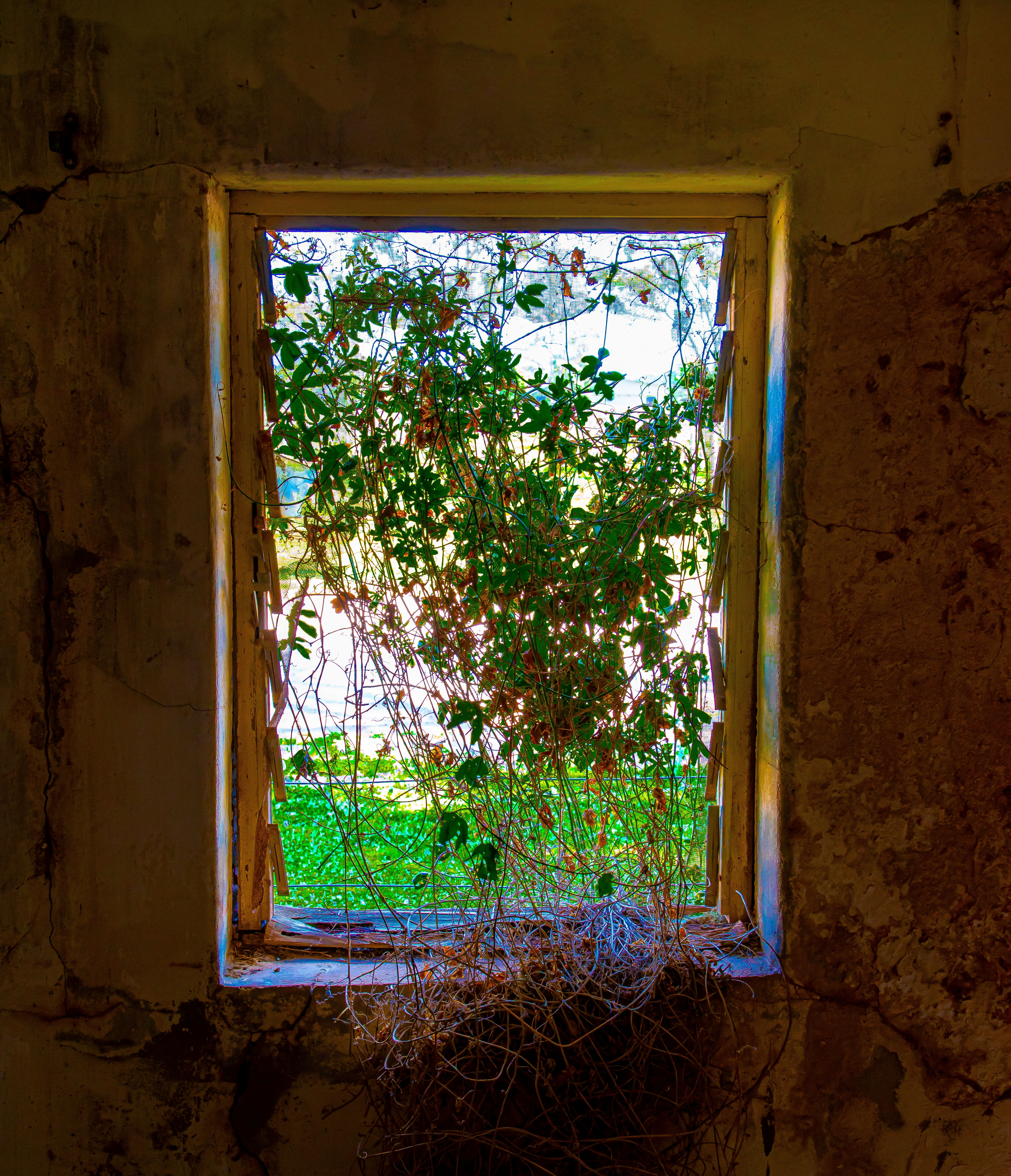 Ruins Canvas 45 x 30cm