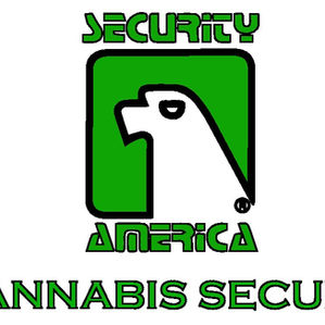 Why Security is essential to the Cannabis Industry