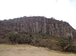 DSC03348