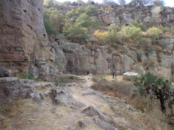 DSC03395