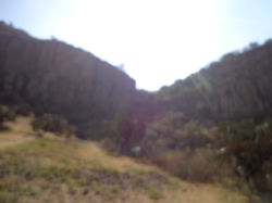 DSC03428