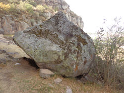 DSC03402