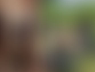 Local reserves and organisations unite to strengthen giraffe conservation in Northern KwaZulu-Natal, South Africa