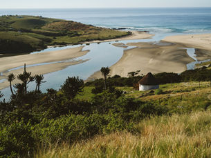 Calling on South African Leaders to Support the Global Goal of Protecting at least 30% of the World’s Land and Sea by 2030