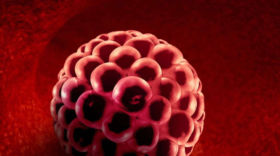 ERA - Endometrium Receptivity Analysis