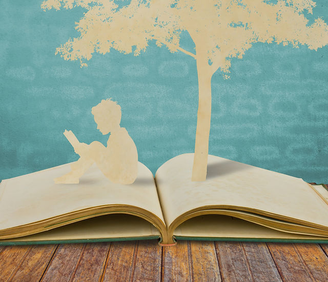 O Que é Literatura Adulta O Que é Literatura Adulta