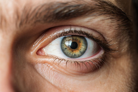 front-view-human-eye.jpg