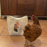 Sweetie's tote bag