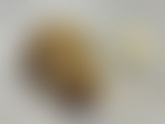 Salpingitis and lash eggs