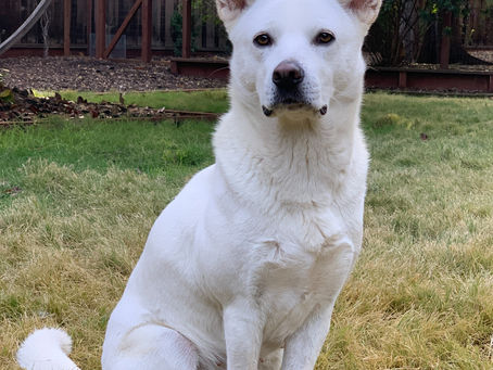 one step forward, two steps back