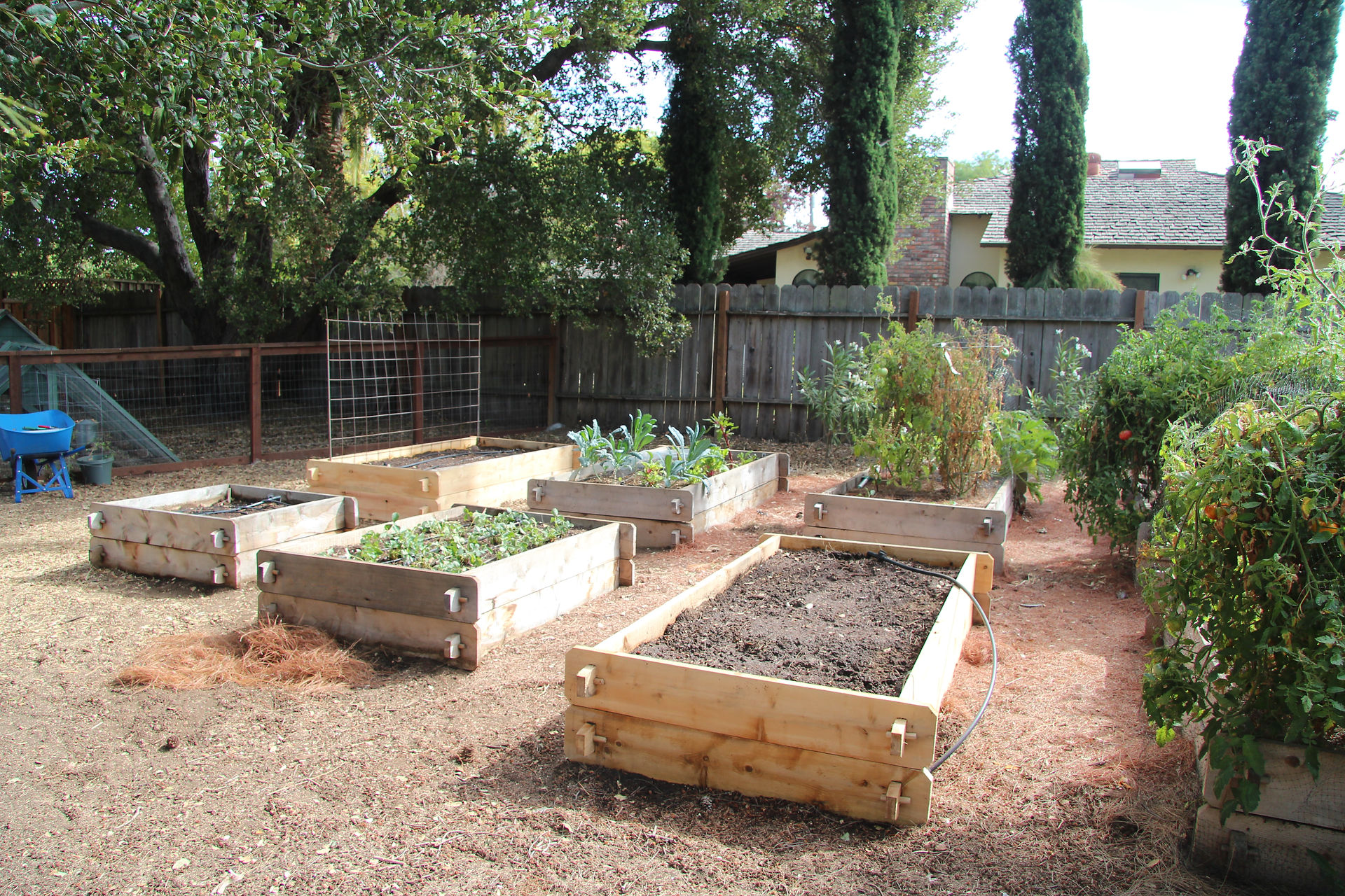 Orginal garden