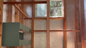 interior (coop renovation #10)