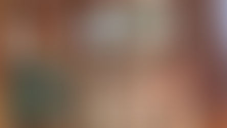 interior (coop renovation #10)