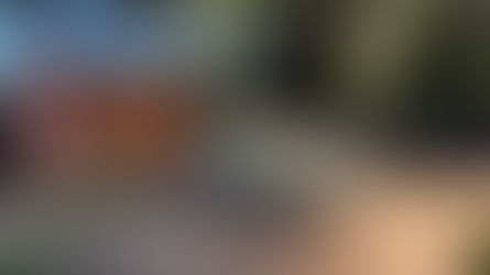 new run is up (coop renovation #8)