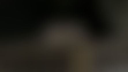 christmas night visitor