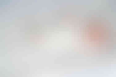 Newborn heeft ogen open en ligt op bed tijdens newborn fotoshoot door Suiker en Anijs. 