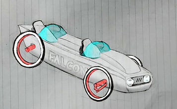 Falcon drawing by Pim - 4(a)_edited.jpg