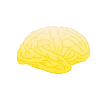 200.webp