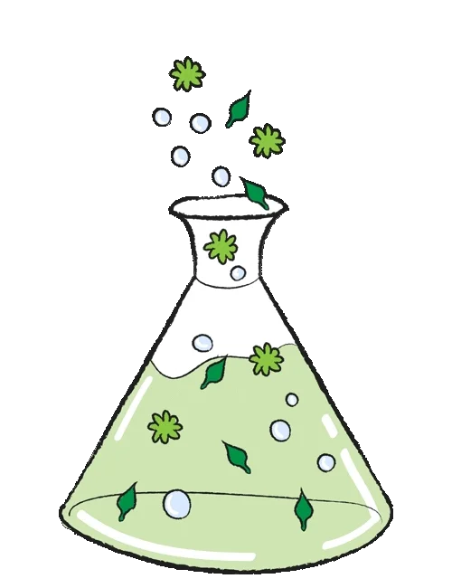 gift quimica.webp