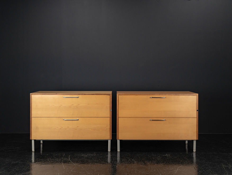 Thumbnail: MIDCENTURY SIDEBOARDS WITH FILE HOLDERS FROM THE 1960S