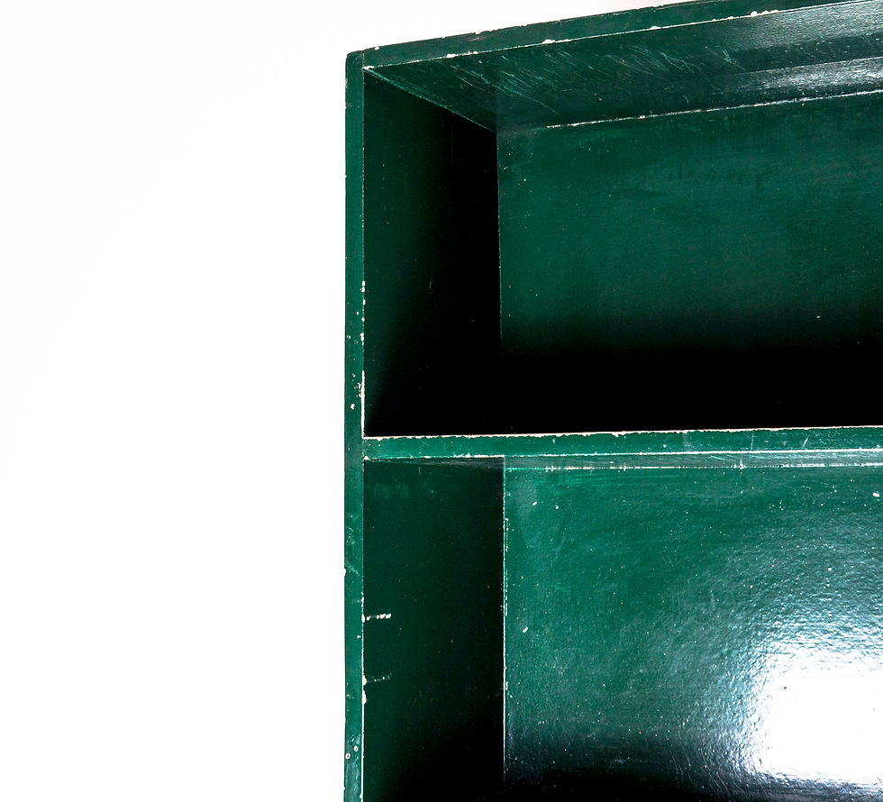 Thumbnail: GREEN ARCHIVE SHELVE