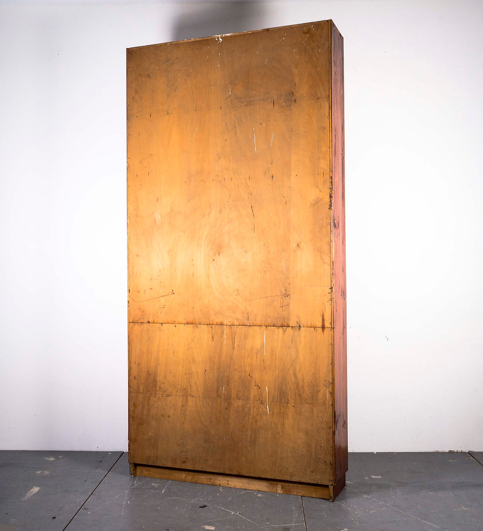 Thumbnail: BROWN ARCHIVE SHELVES