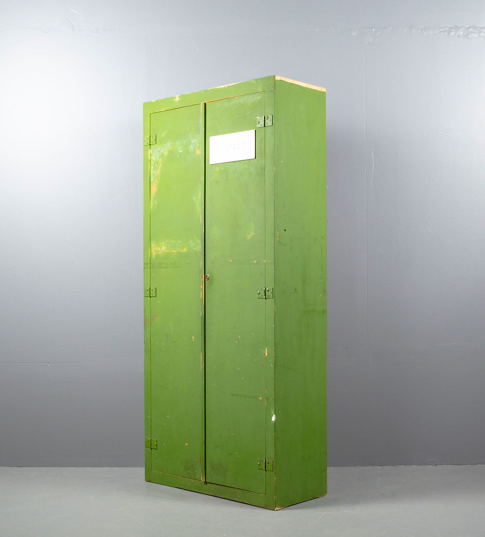 Thumbnail: GREEN INDUSTRIAL CABINET FROM THE 1950s