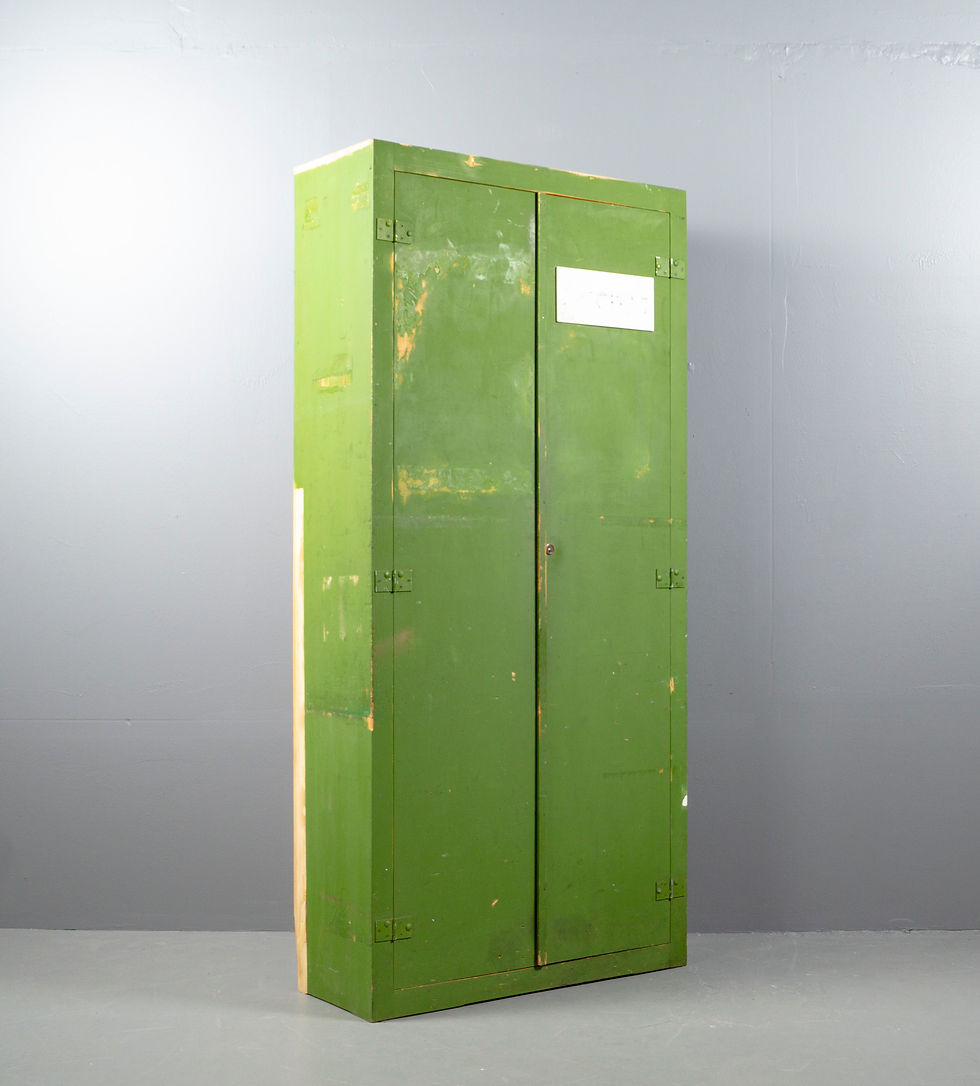 Thumbnail: GREEN INDUSTRIAL CABINET FROM THE 1950s