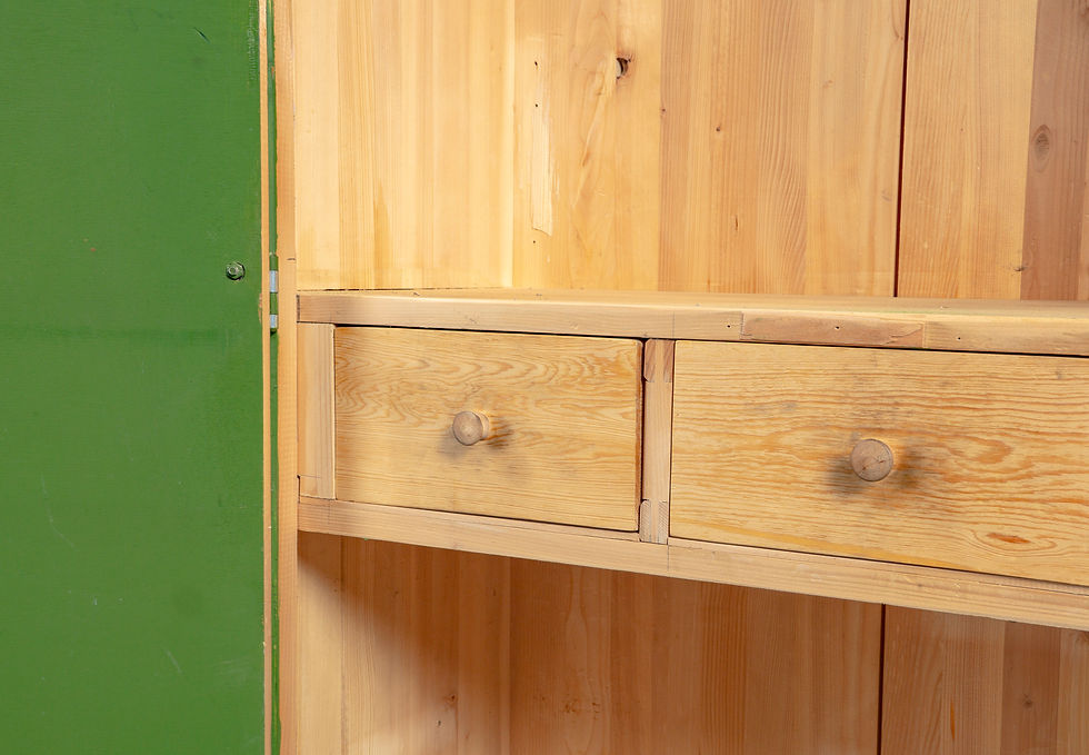 Thumbnail: GREEN INDUSTRIAL CABINET FROM THE 1950s