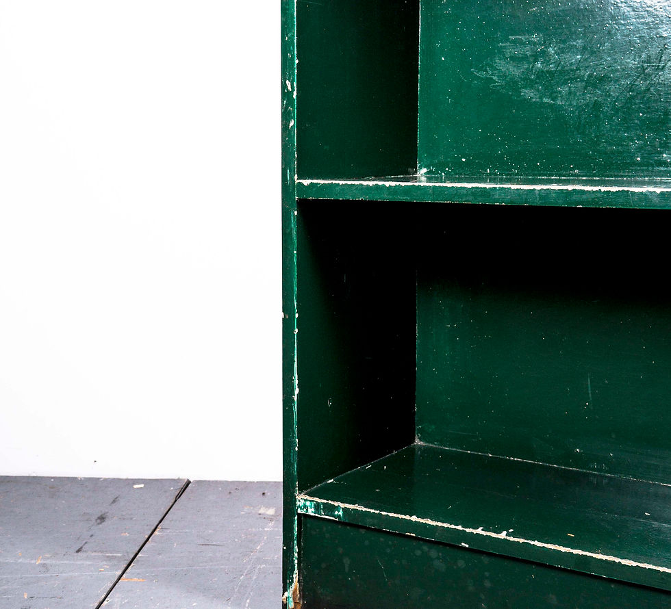 Thumbnail: GREEN ARCHIVE SHELVE II